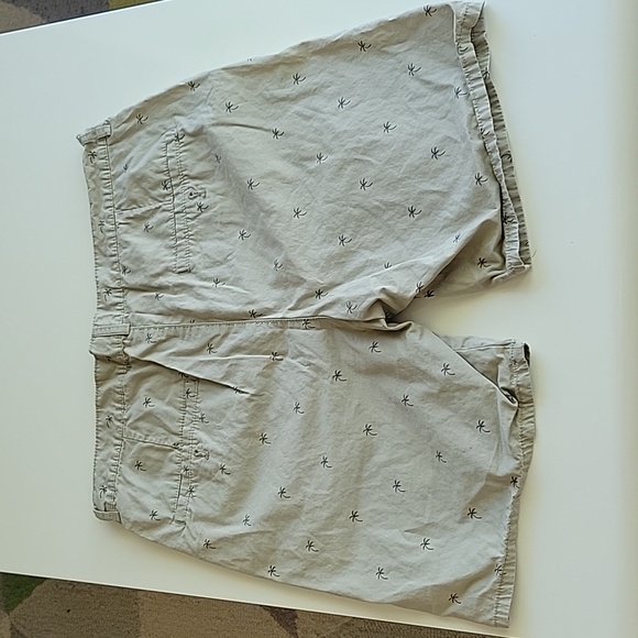 Men shorts - Picture 2 of 4